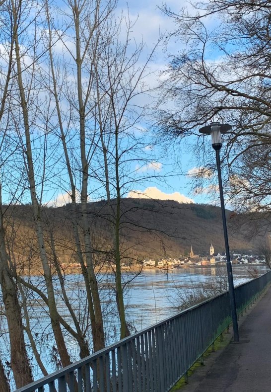 Rheinanlagen2 | © Kathrin Gipp Rheinanlagen2 | © Kathrin Gipp