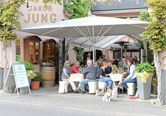 Gutsausschank Weingut Jakob Jung | © Weingut Jakob Jung