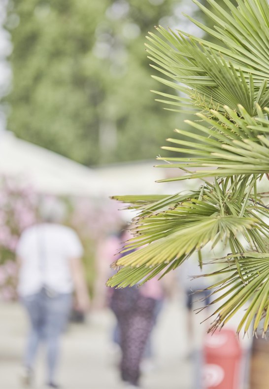 Koblenz Touristik, Picture Colada4 | &copy; Koblenz Touristik, Picture Colada