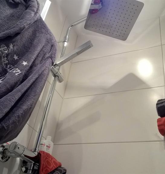 Wellness-Kopf und Seitenbrause | &copy; Petra Erbar