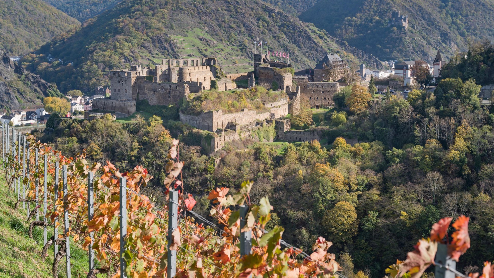 Rheinfels im Herbst | &copy; Andreas Pacek, fototour-deutschland.de