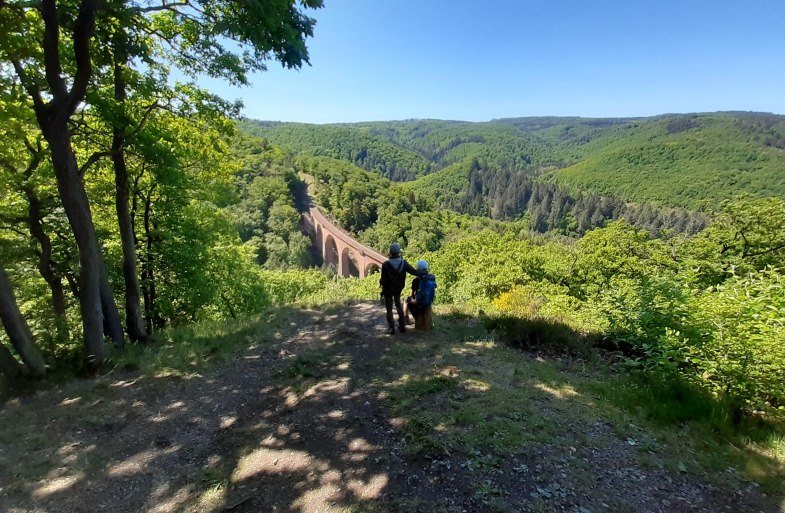 Aussicht Viadukt | &copy; Tourist Information Boppard