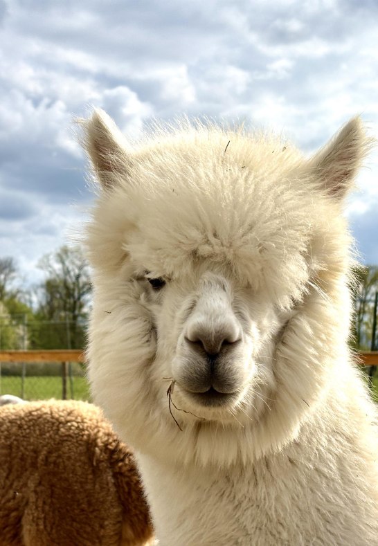 Richy´s Ranch 2 | © Richard Nietulski Richy´s Ranch 2 | © Richard Nietulski