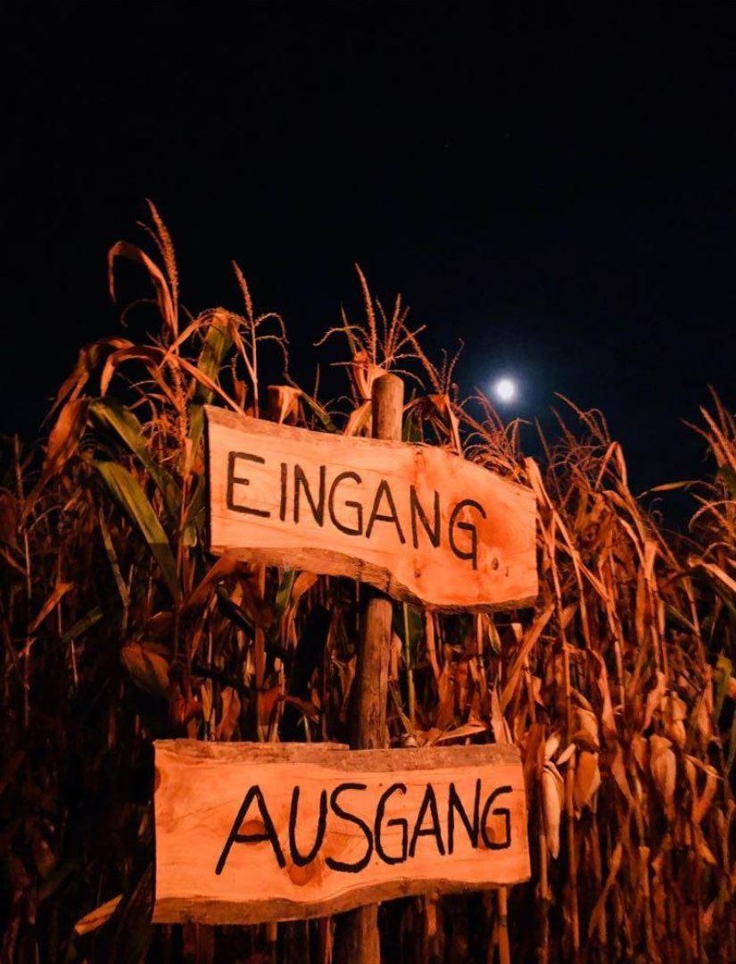 Night Walk | © M. Heckel Night Walk | © M. Heckel