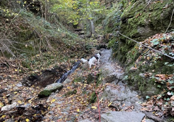 Ruppertsklamm Lahnstein 3 | &copy; Stadt Lahnstein