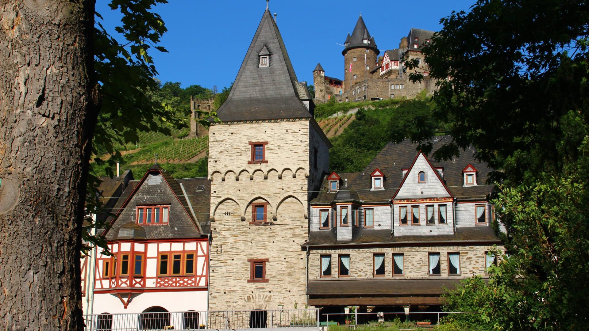 Kranentrum Ansicht vom Rhein | &copy; RNT