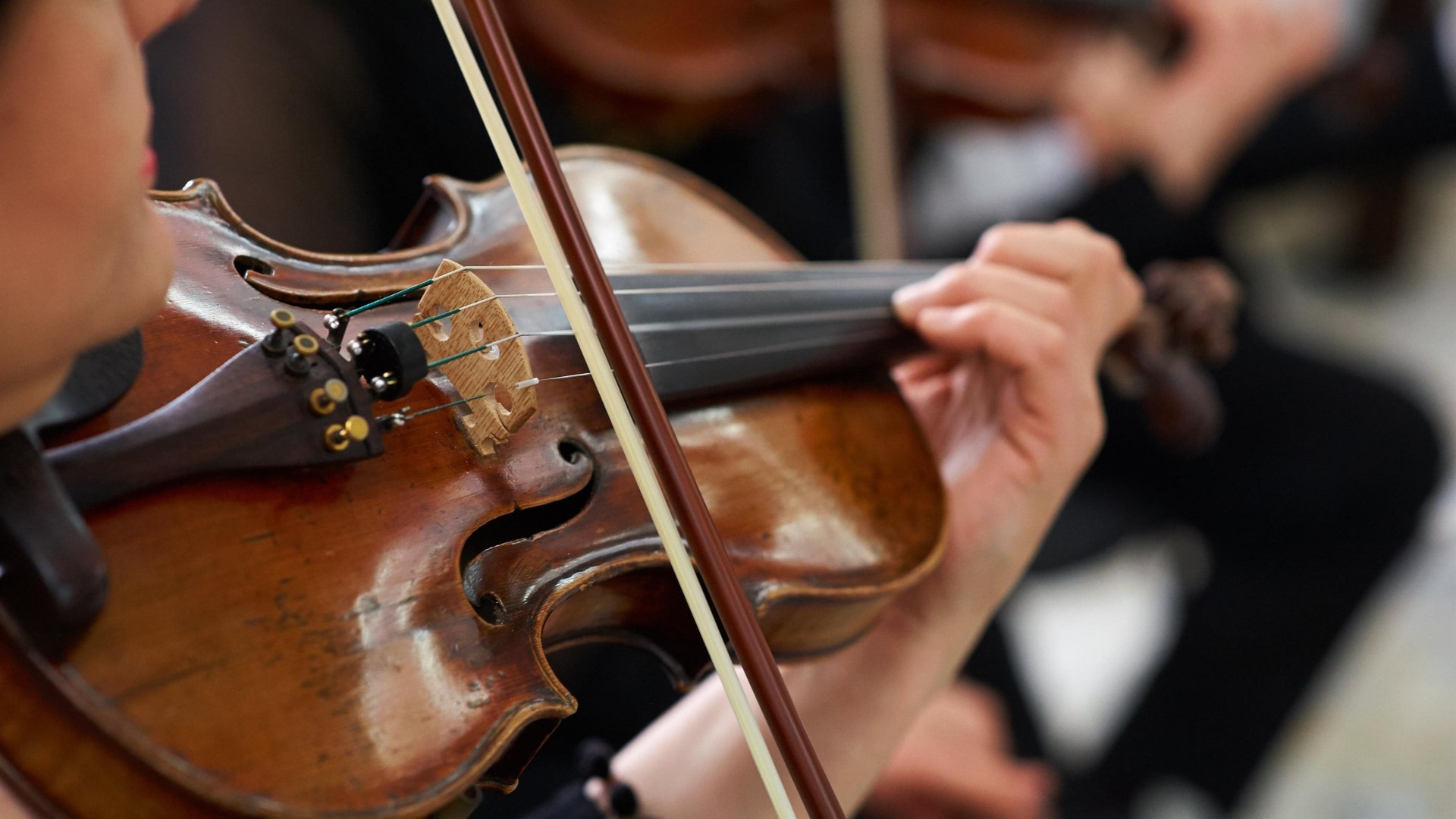 Vivaldi- Die vier Jahreszeiten | © Nawarit Vivaldi- Die vier Jahreszeiten | © Nawarit
