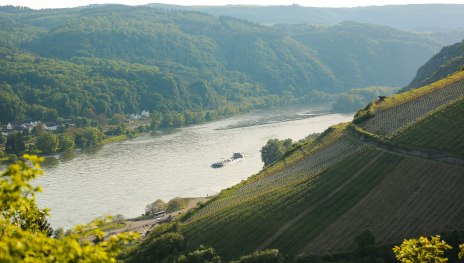 Die Steilh&auml;nge der Winzer bei St. Goarshausen | &copy; Henry Tornow