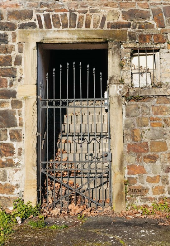 DSC03489 | © AnyaFi