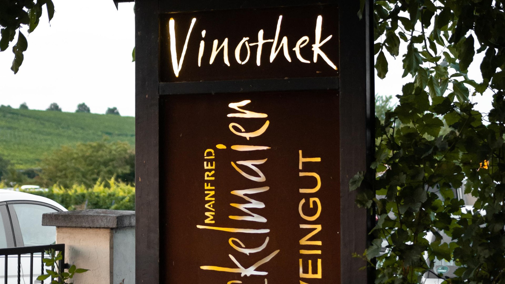 DSC_3772 | &copy; Weingut Bickelmaier