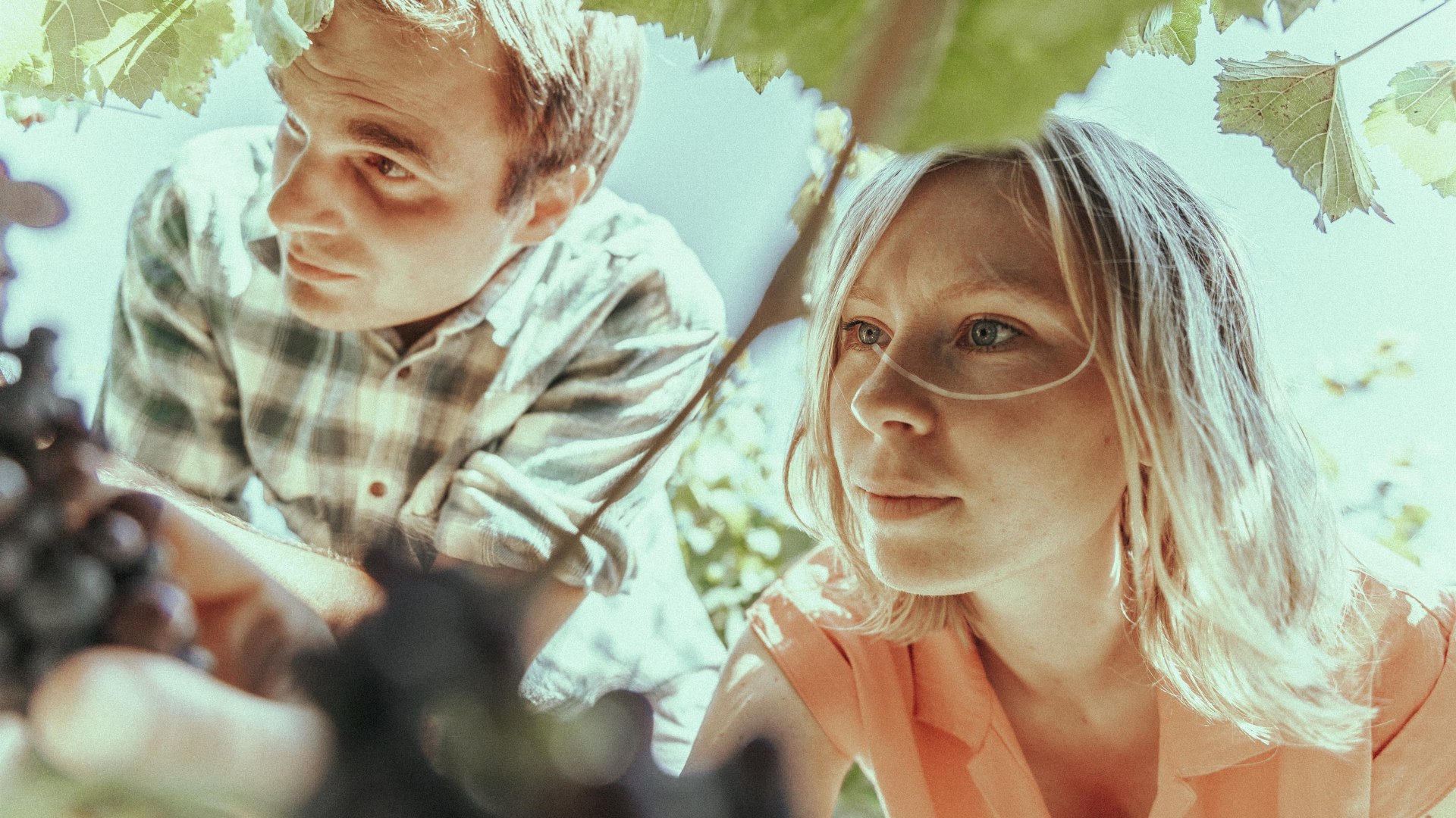 Heilemann | © Weingut Heilemann Heilemann | © Weingut Heilemann