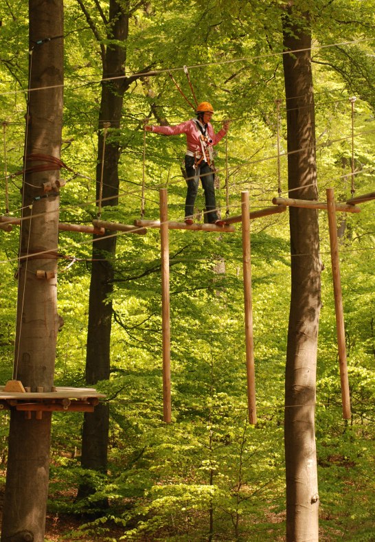 Kletterwald | © Protime GmbH