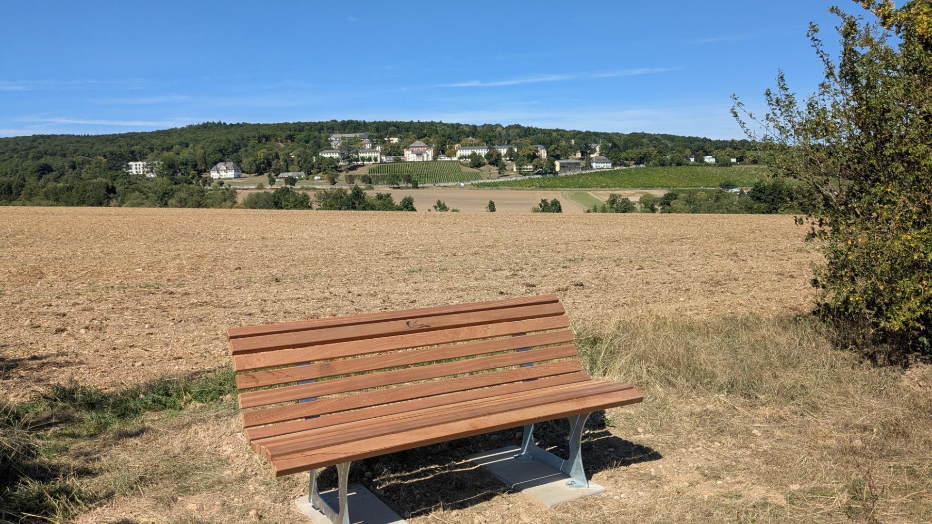 Bank Hattenheim | &copy; Maren Gutberlet