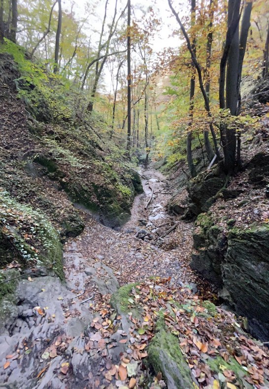 Ruppertsklamm Lahnstein 2 | © Stadt Lahnstein Ruppertsklamm Lahnstein 2 | © Stadt Lahnstein