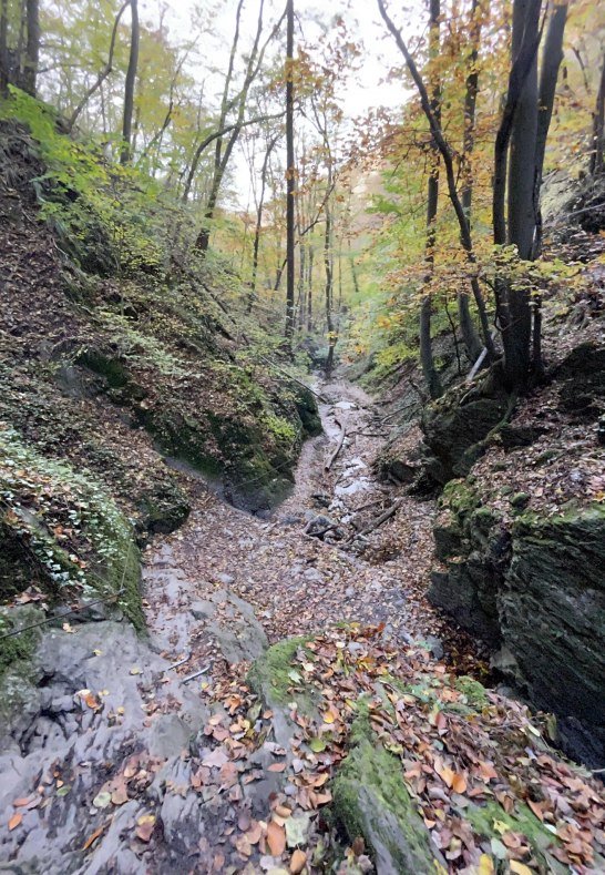 Ruppertsklamm Lahnstein 2 | &copy; Stadt Lahnstein