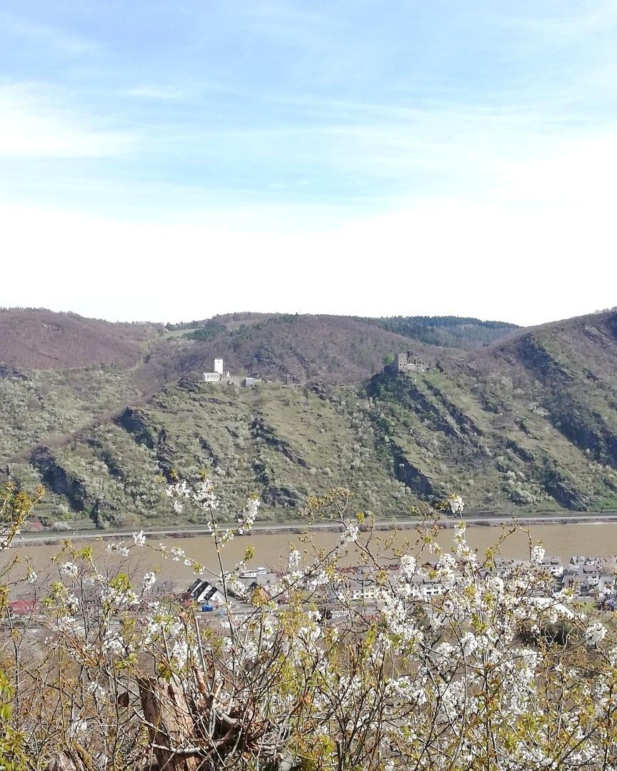 Feindliche Brüder | © Petra Winkler Feindliche Brüder | © Petra Winkler