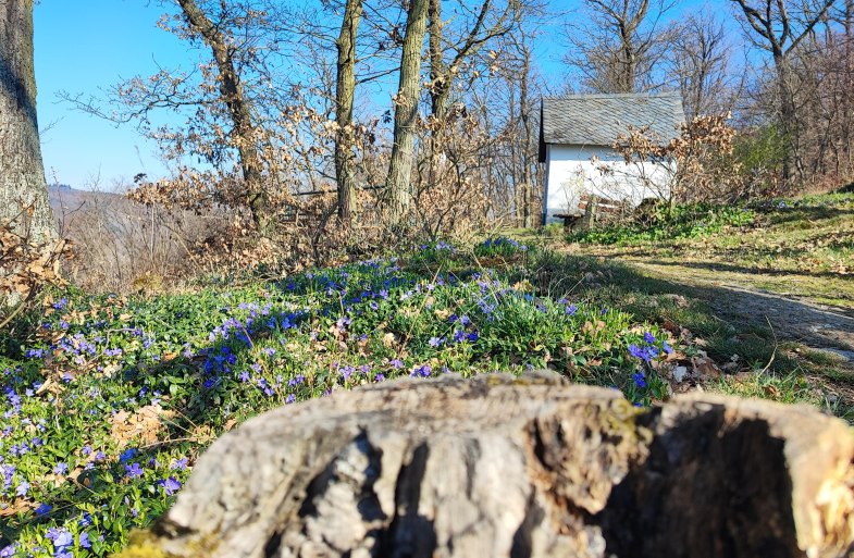Kapelle | © Ulrike Dallmann