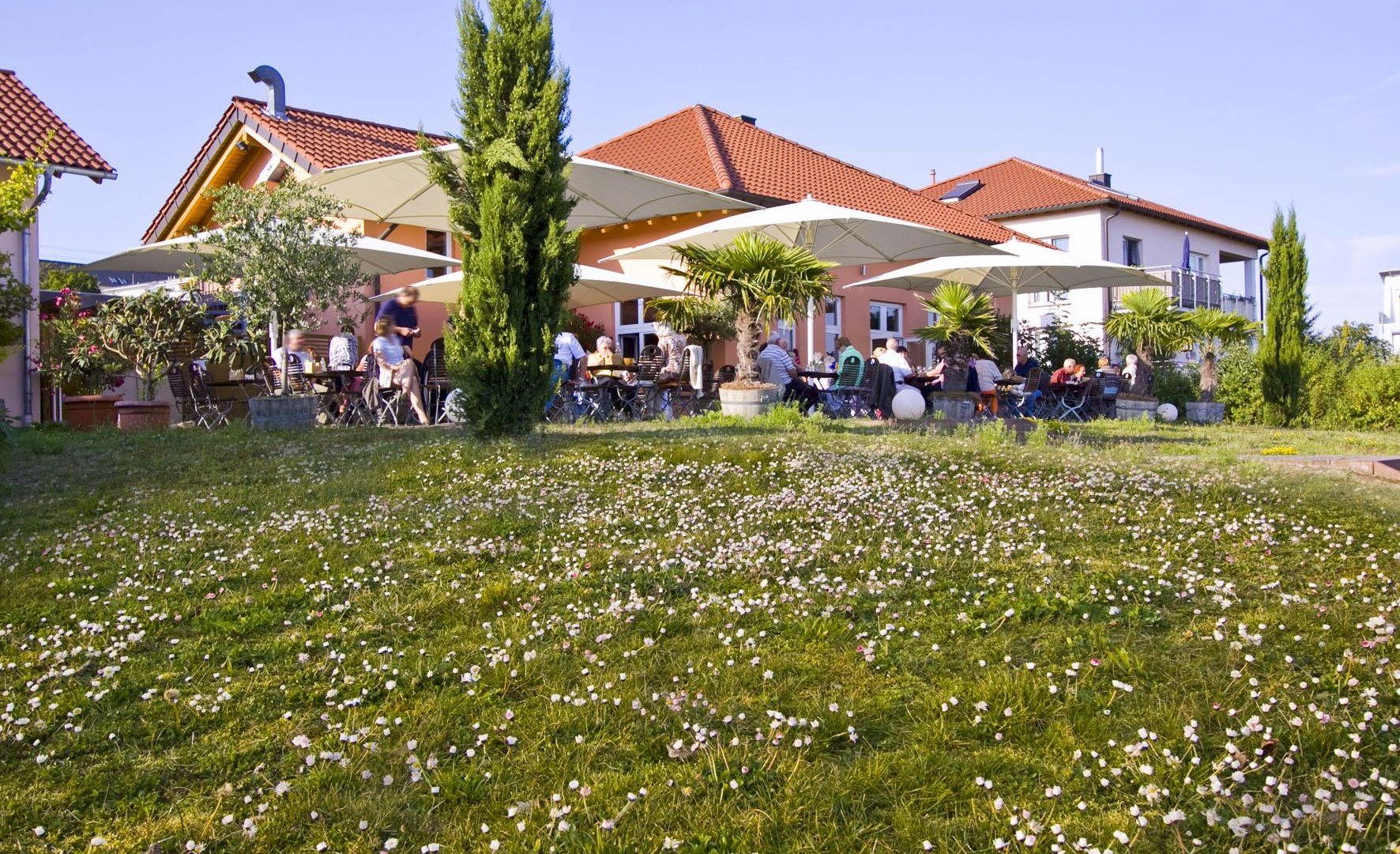 Weingut Höhn | © Weingut Höhn Weingut Höhn | © Weingut Höhn