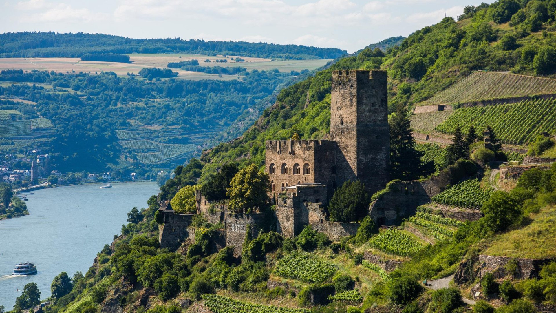 Burg Gutenfels inmitten der Weinberge | © Henry Tornow/Romantischer Rhein Tourismus GmbH Burg Gutenfels inmitten der Weinberge | © Henry Tornow/Romantischer Rhein Tourismus GmbH