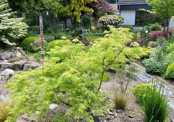 Privatgarten der Familie Feuerpreil | © Zweckverband Welterbe Oberes Mittelrheintal Privatgarten der Familie Feuerpreil | © Zweckverband Welterbe Oberes Mittelrheintal