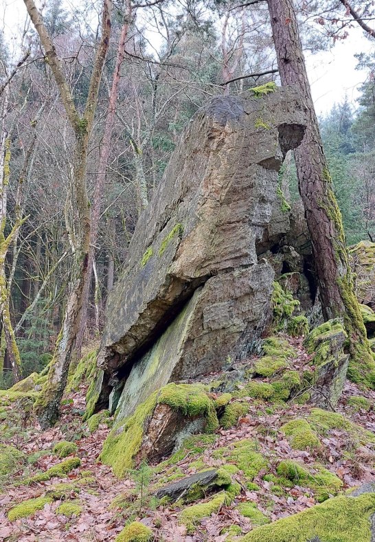 Kuckucksnacks f | © T. Biersch Kuckucksnacks f | © T. Biersch