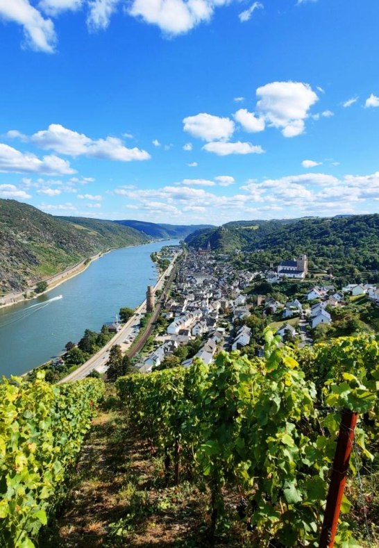 11. Romantischer Rheinblick von den Weinbergen obe | © Familie Decker, Oberwesel
