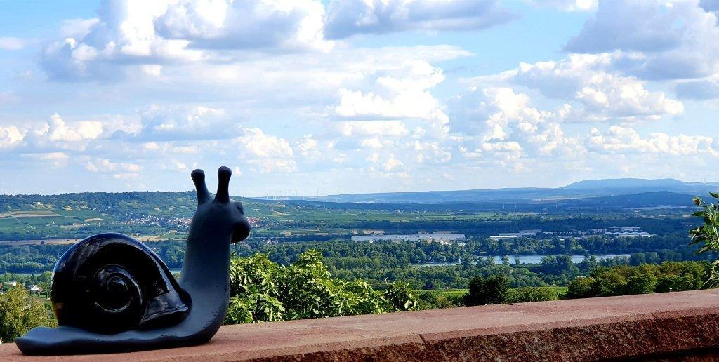 Ausblick Rheinblick | © Weingut Hof Rheinblick Ausblick Rheinblick | © Weingut Hof Rheinblick