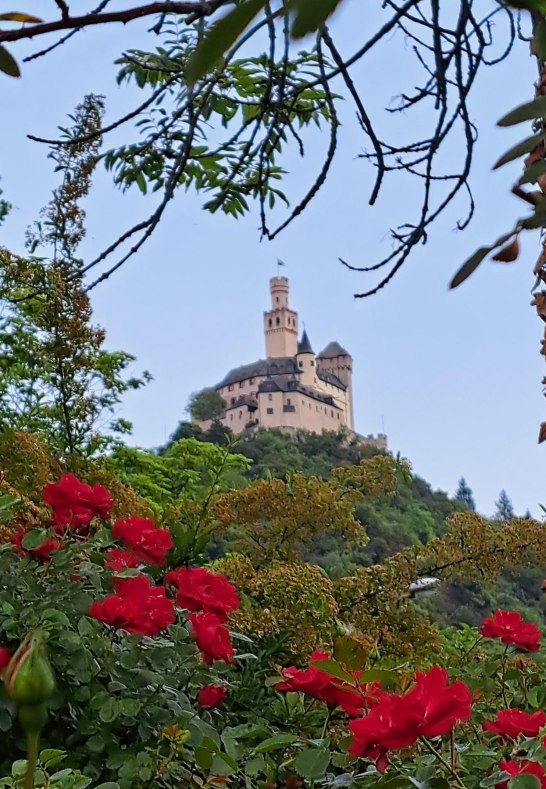 Marksburg und Rosen | &copy; Birgit Biller