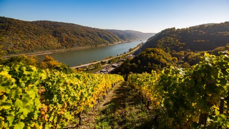 Weinberg bei Oberwesel | &copy; Henry Tornow