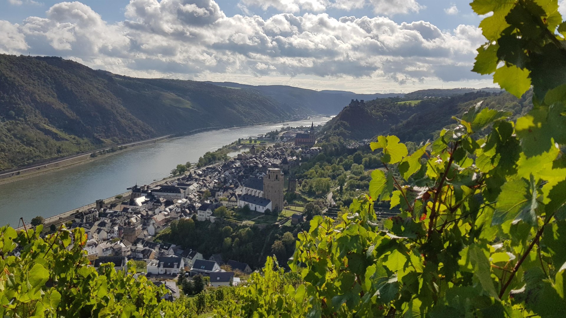 Bank Urbar | &copy; T. Castor