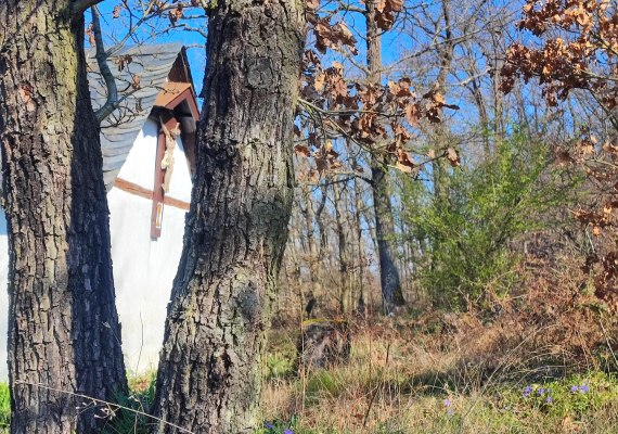 Kreuz | &copy; Ulrike Dallmann