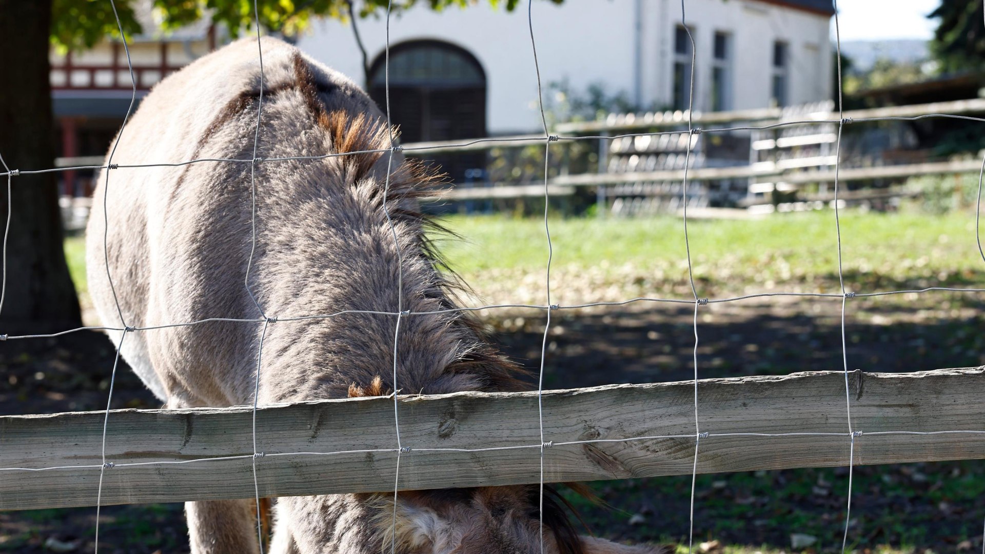 Wacholderhof I | &copy; Marc Nebel