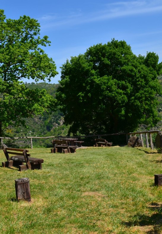 Pfalzblick 4 | &copy; Tourist-Information Oberwesel