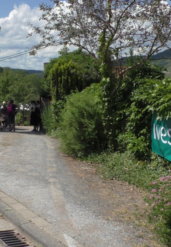 wein date 2022 - Burgg&auml;rtnerei | &copy; Mittelrhein Wein e. V.