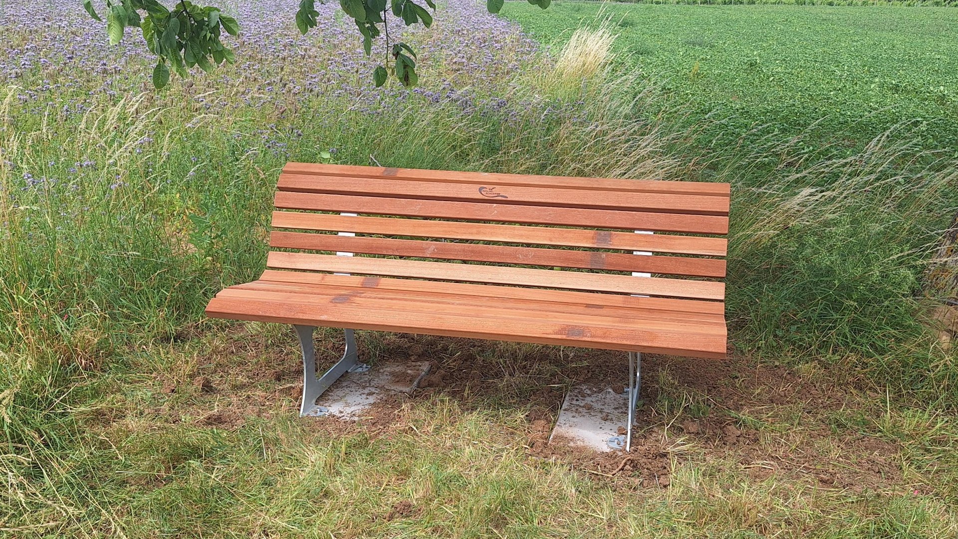 Bank | &copy; Maren Gutberlet