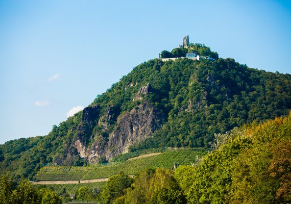 Blick auf die Burgruine Drachenfels | © Romantischer Rhein Tourismus GmbH, Henry Tornow