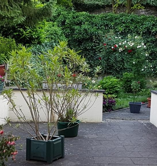 Terrasse | &copy; Susanne Bach