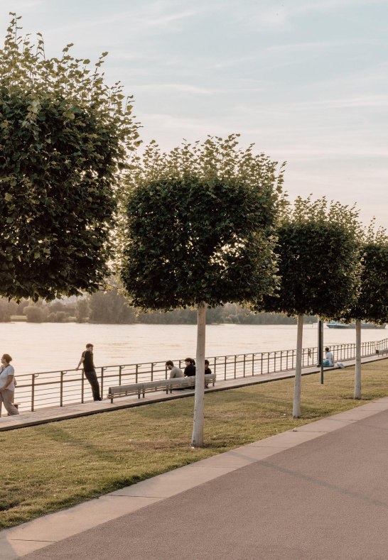 Deichvorgel&auml;nde | &copy; Zimpfer_Photography