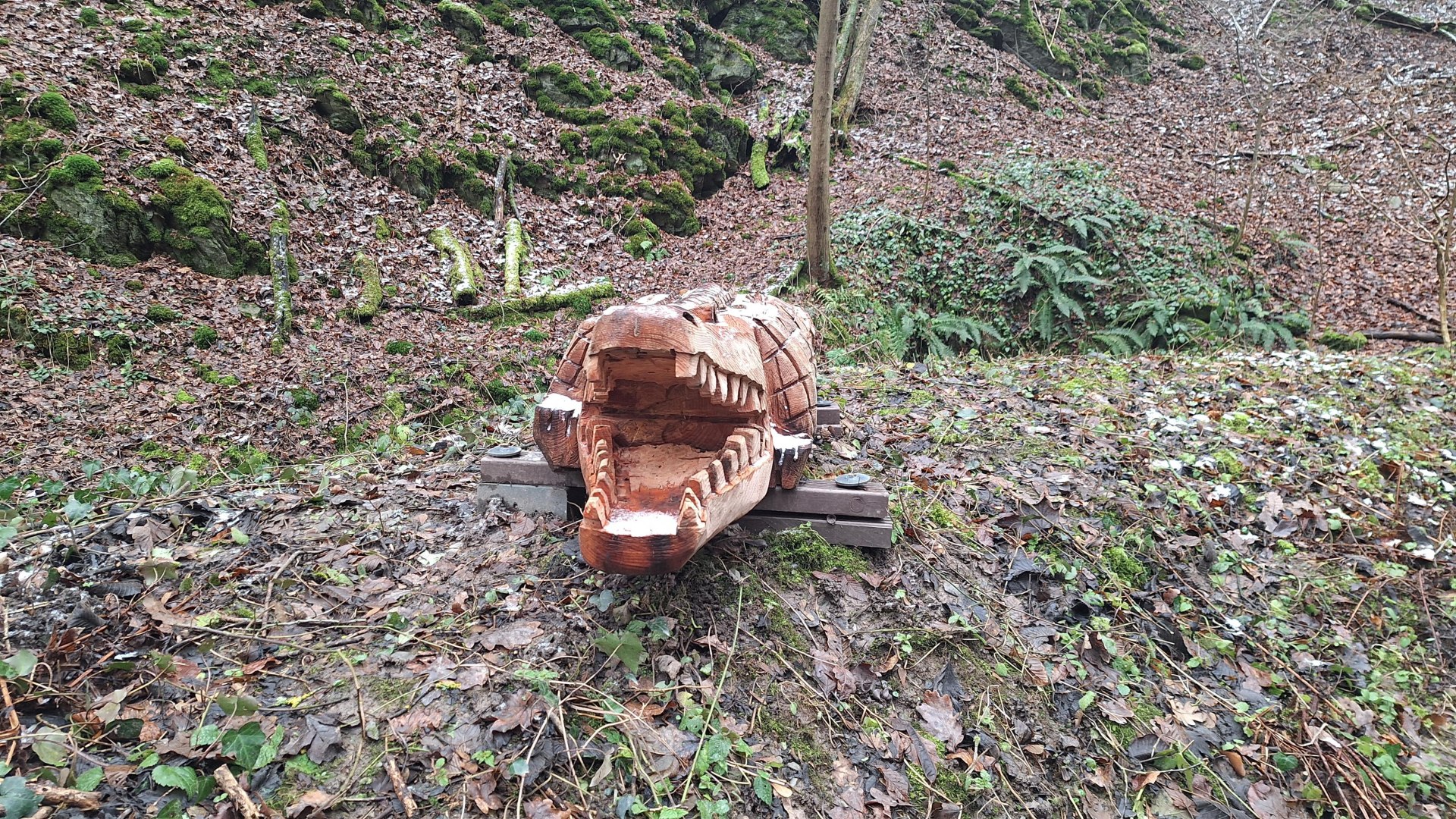 Das Krokodil | &copy; T. Biersch