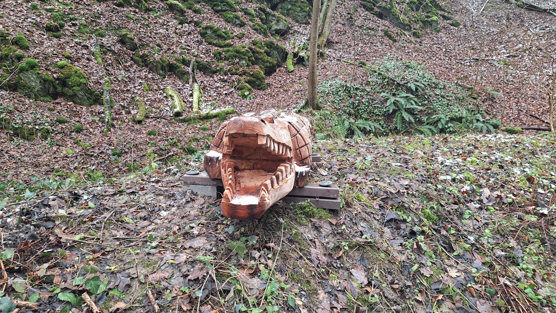 Das Krokodil | &copy; T. Biersch