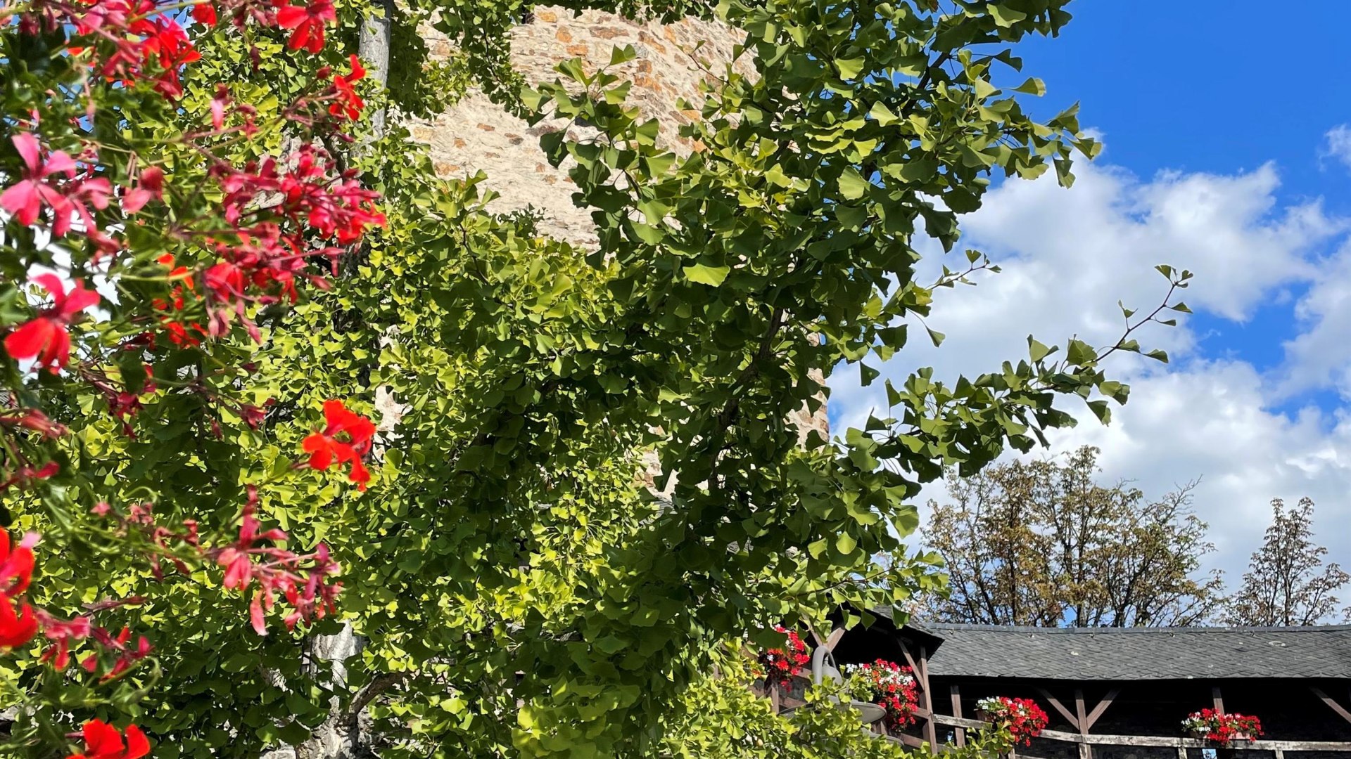 Stadtführung | © Tanja Stienemeier Stadtführung | © Tanja Stienemeier