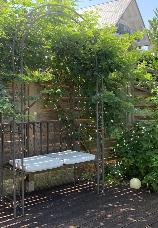 Rosenbogen | &copy; M. Scheer