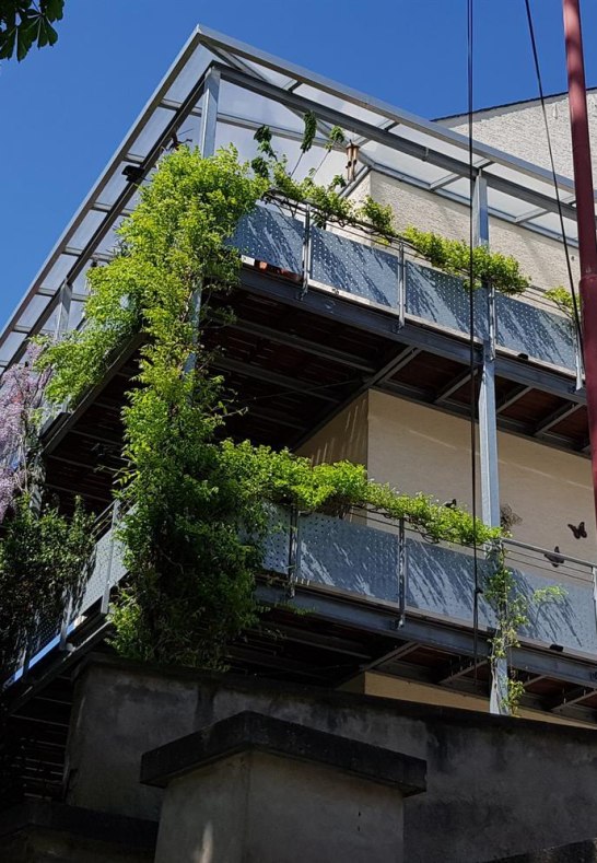 20190422_125643 | © C. Edrich