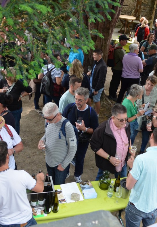 wein date kaub burg gutenfels | © Mittelrhein-Wein e. V.