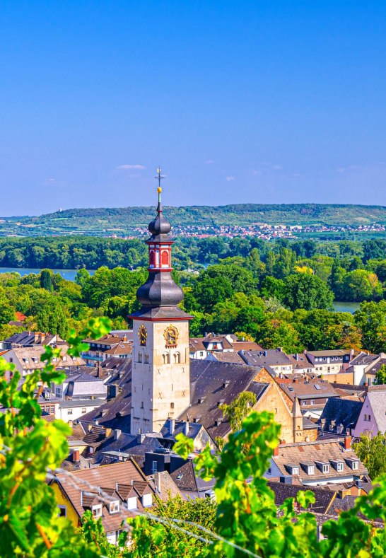 Rüdesheim am Rhein | © Aliaksandr Antanovich, iStock