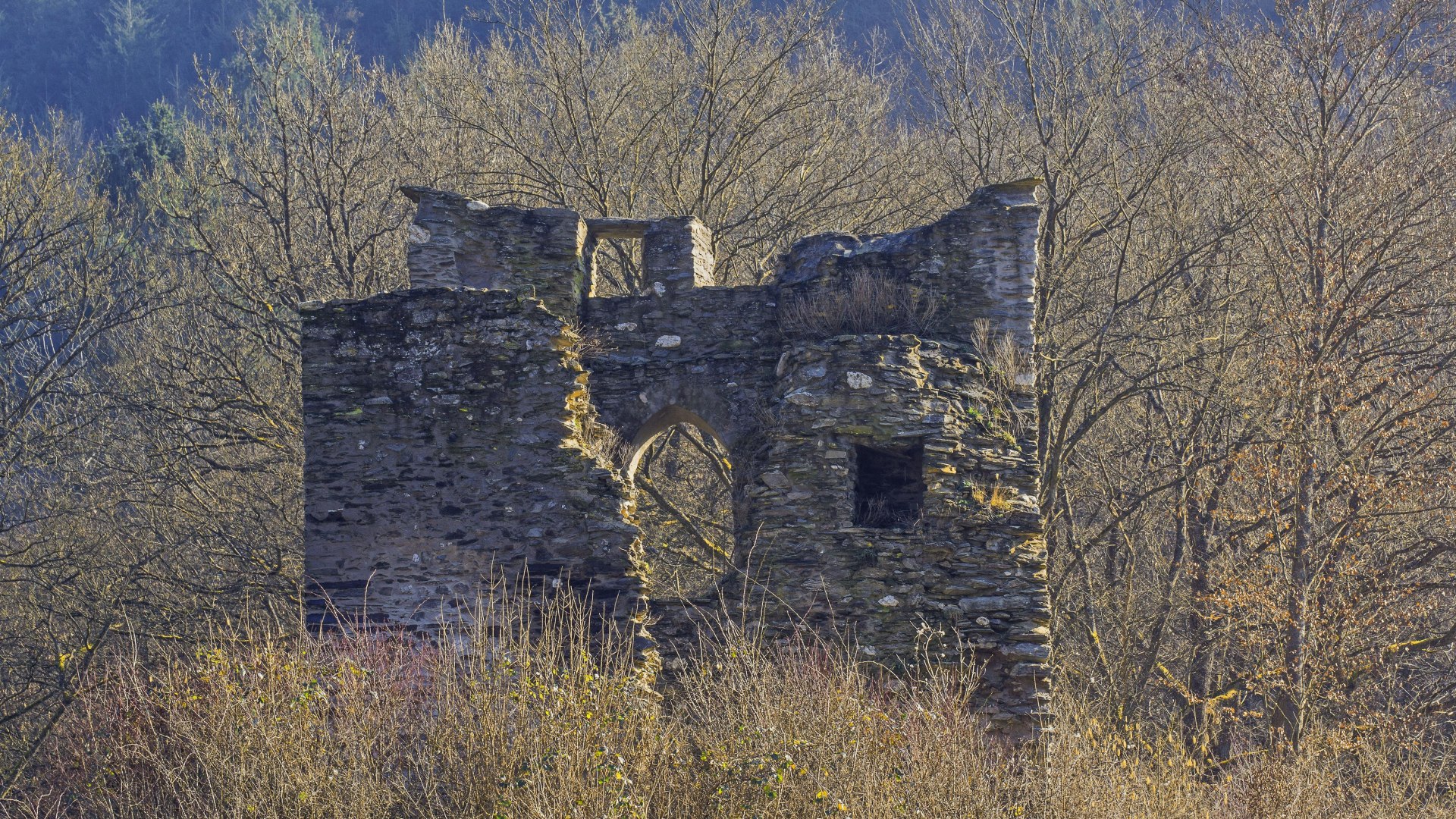 Lauksburg | &copy; Friedrich Gier/Romantischer Rhein Tourismus GmbH