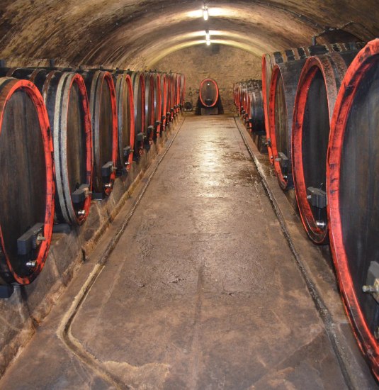 Weinkeller | © Luise Lutterbach Weinkeller | © Luise Lutterbach