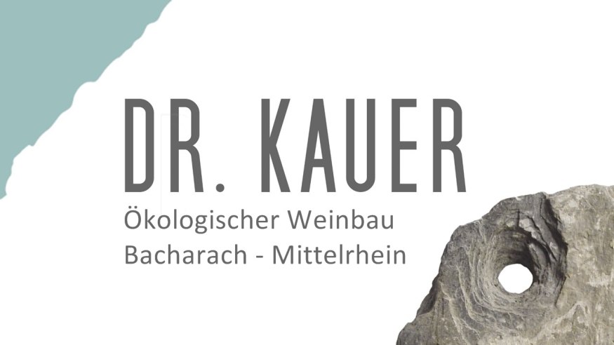 logo dr kauer | © Weingut Dr. Kauer logo dr kauer | © Weingut Dr. Kauer