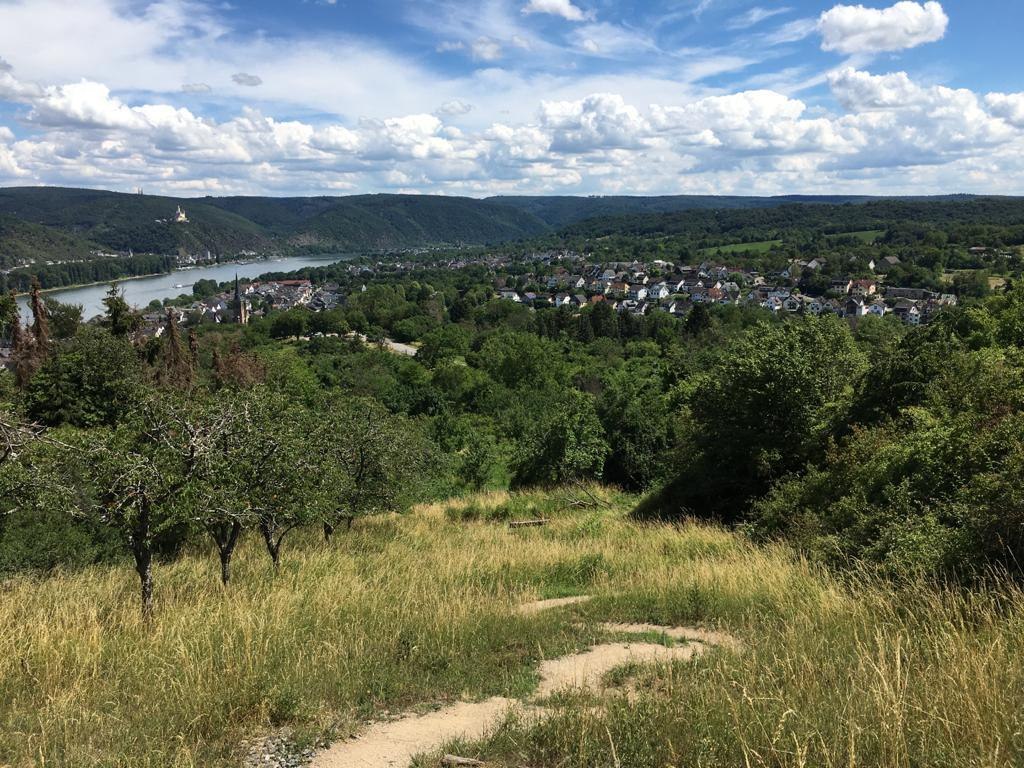 Weitblick | © TI Erlebnis Rheinbogen Weitblick | © TI Erlebnis Rheinbogen