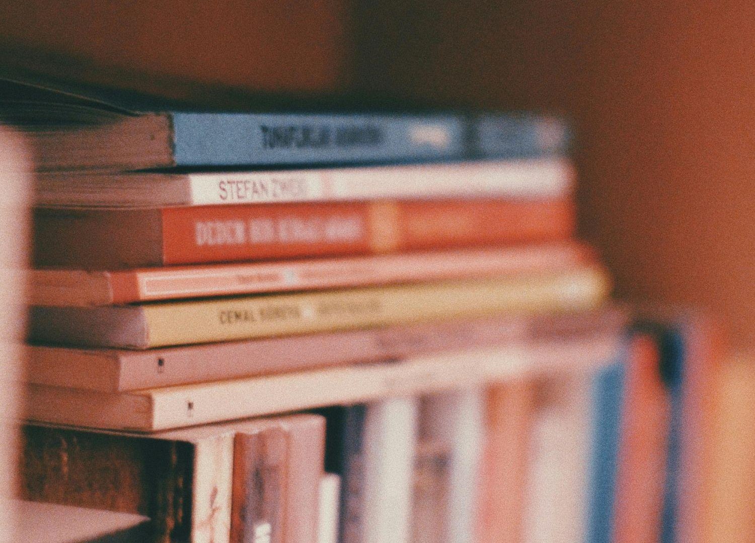 Canva B&uuml;cher | &copy; TI Hunsr&uuml;ck-Mittelrhein